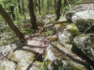 rocky-path