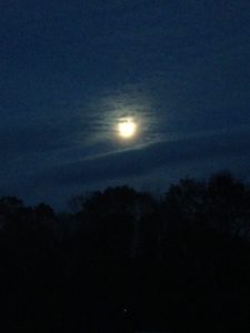 moon-at-dusk